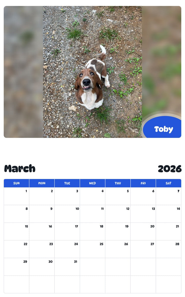 November 2025 - October 2026 Toby - Pawidols Pet Calendar
