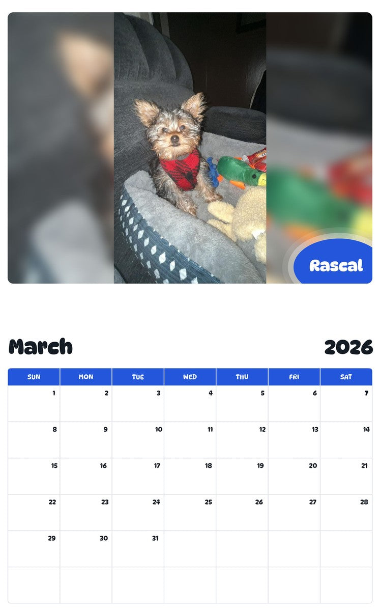 November 2025 - October 2026 Rascal - Pawidols Pet Calendar