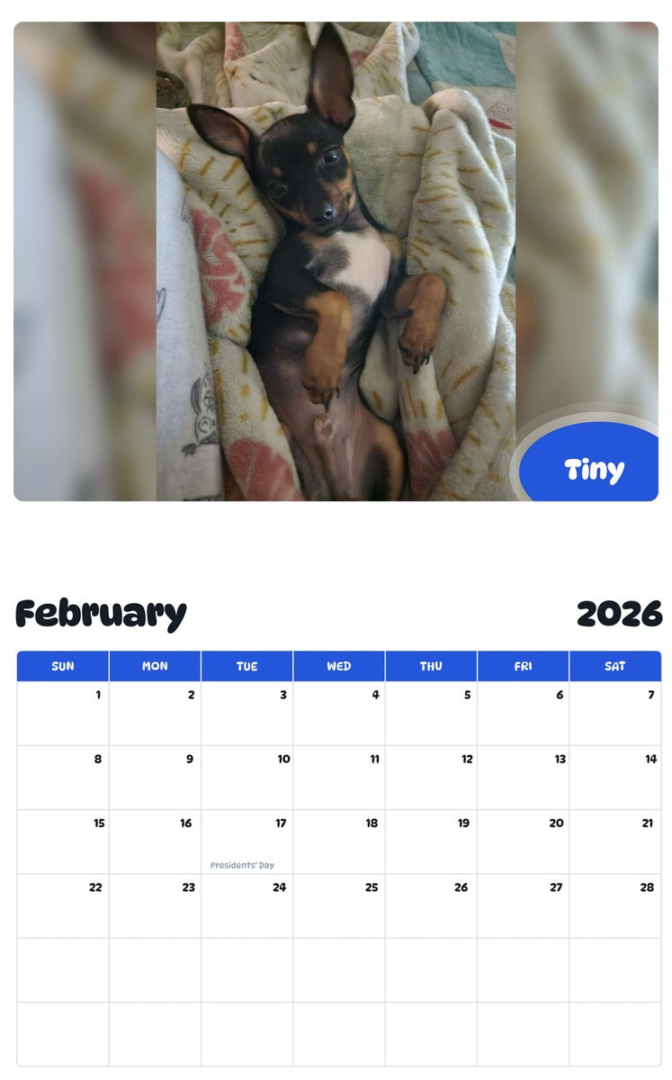 October 2025 - September 2026 Tiny - Pawidols Pet Calendar