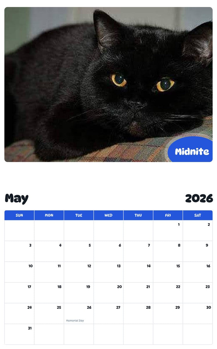 2026 - 2027 Midnite - Pawidols Pet Calendar
