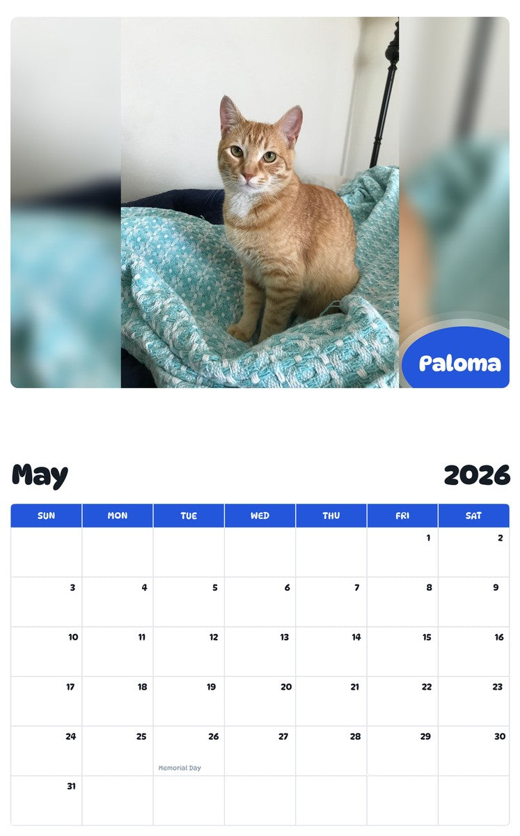 2026 - 2027 Paloma - Pawidols Pet Calendar