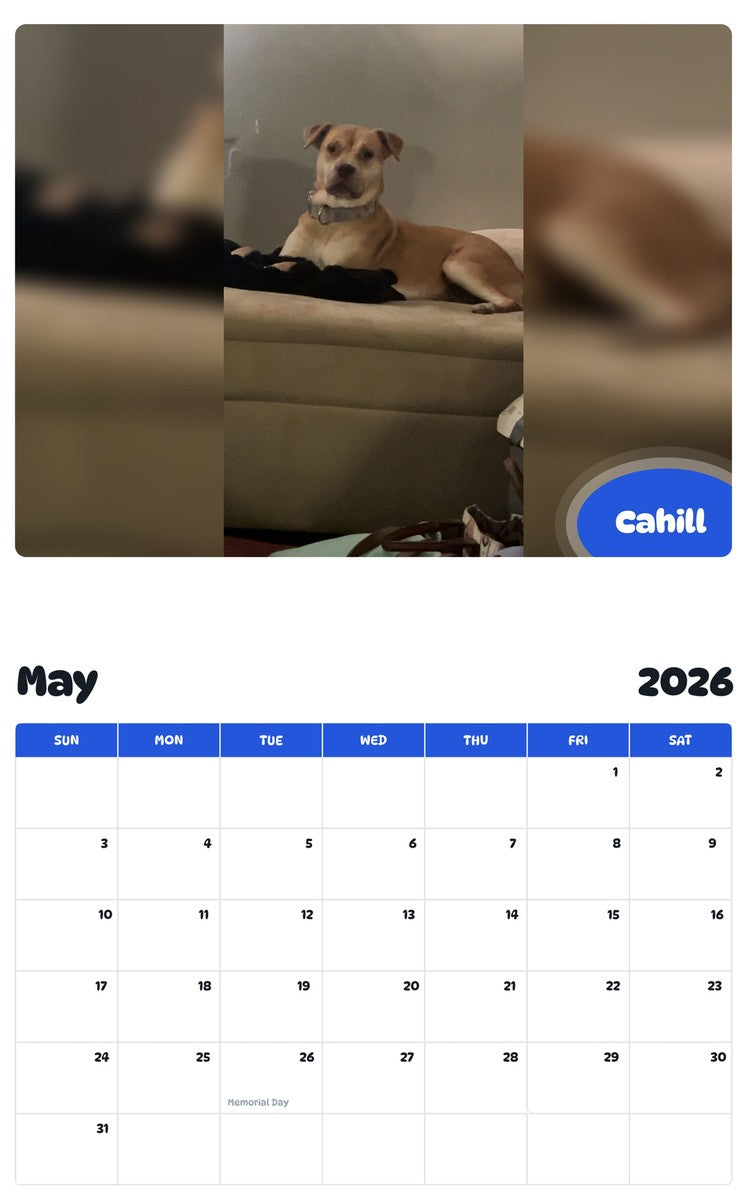 2026 - 2027 Cahill - Pawidols Pet Calendar