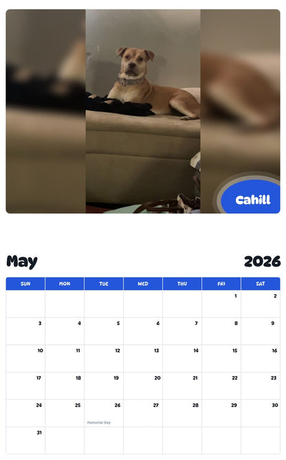 2026 - 2027 Cahill - Pawidols Pet Calendar