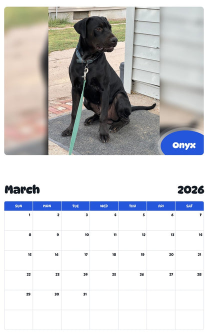 November 2025 - October 2026 Onyx - Pawidols Pet Calendar