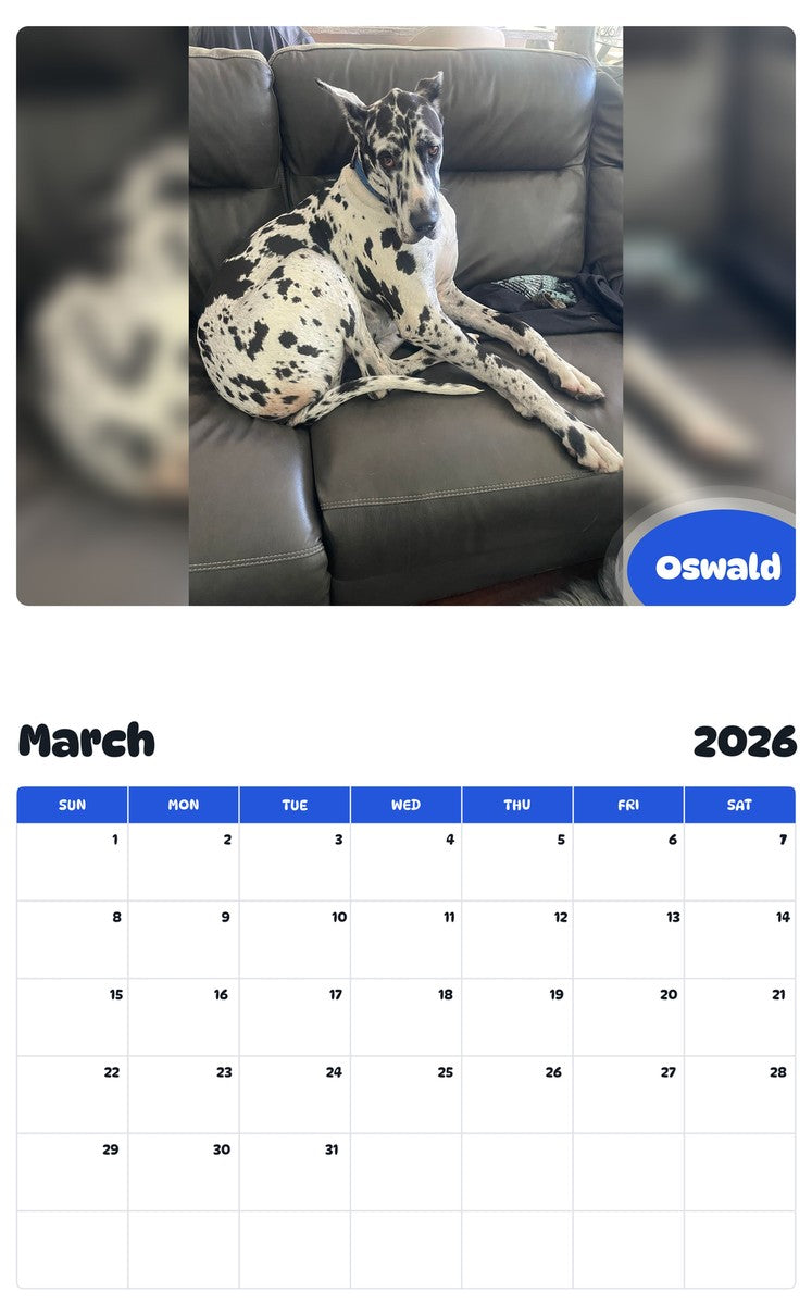 November 2025 - October 2026 Oswald - Pawidols Pet Calendar
