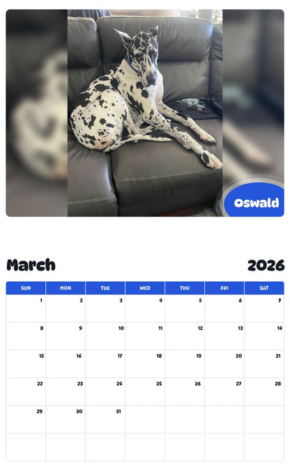 November 2025 - October 2026 Oswald - Pawidols Pet Calendar