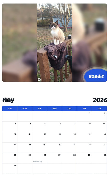 2026 - 2027 Bandit - Pawidols Pet Calendar