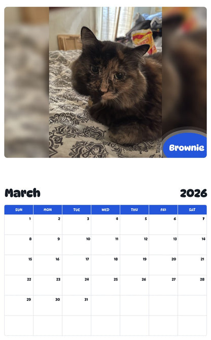 November 2025 - October 2026 Brownie - Pawidols Pet Calendar