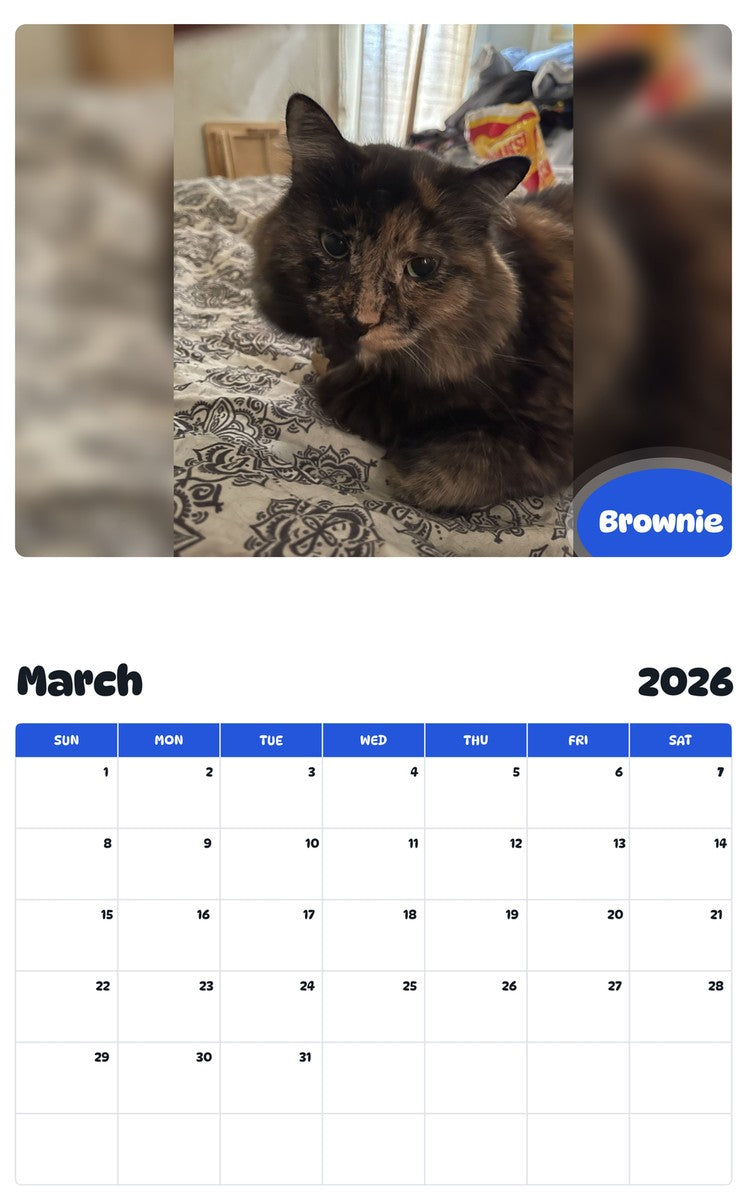 November 2025 - October 2026 Brownie - Pawidols Pet Calendar