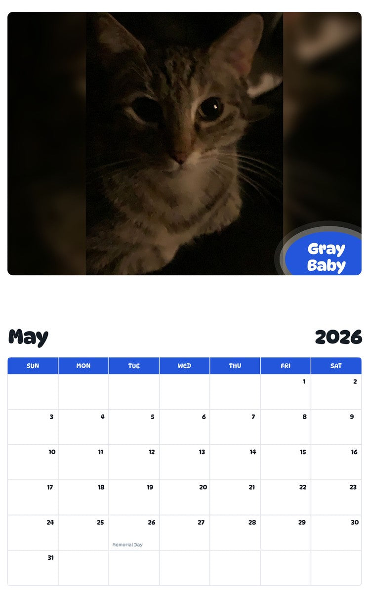 2026 - 2027 Gray Baby - Pawidols Pet Calendar