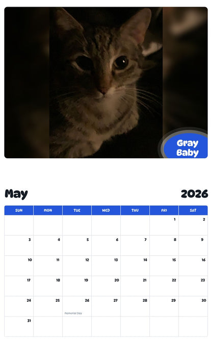 2026 - 2027 Gray Baby - Pawidols Pet Calendar