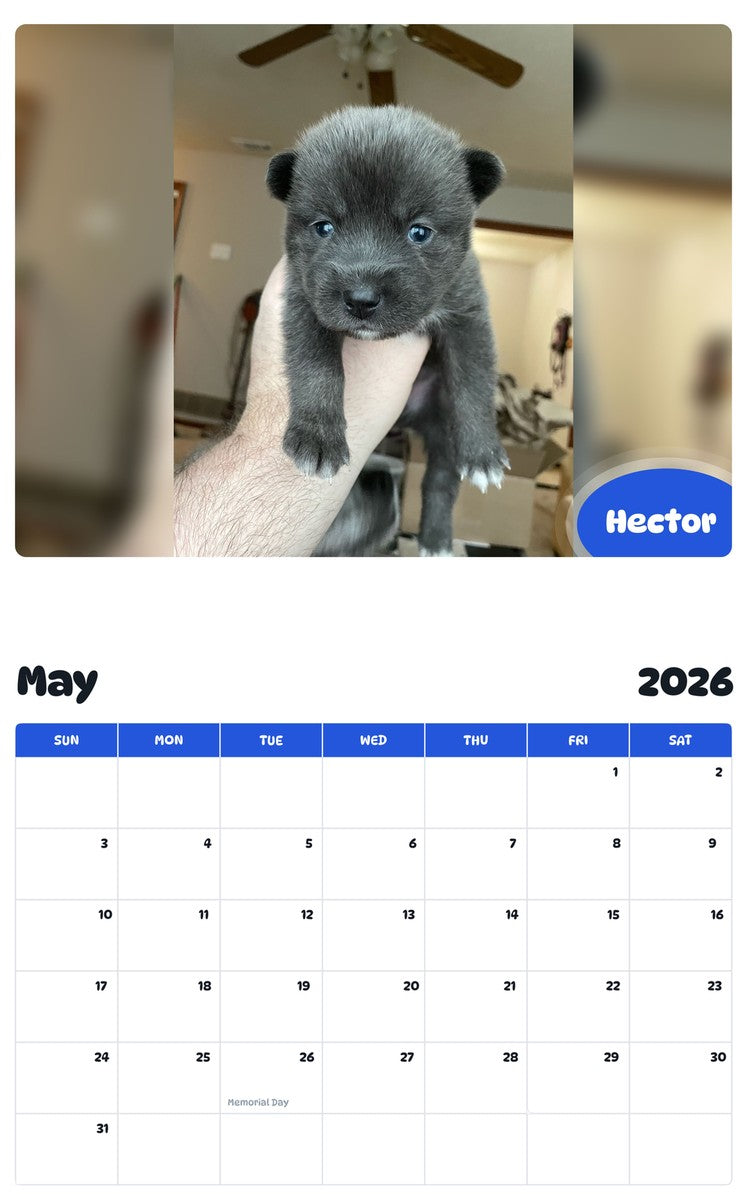 2026 - 2027 Hector - Pawidols Pet Calendar