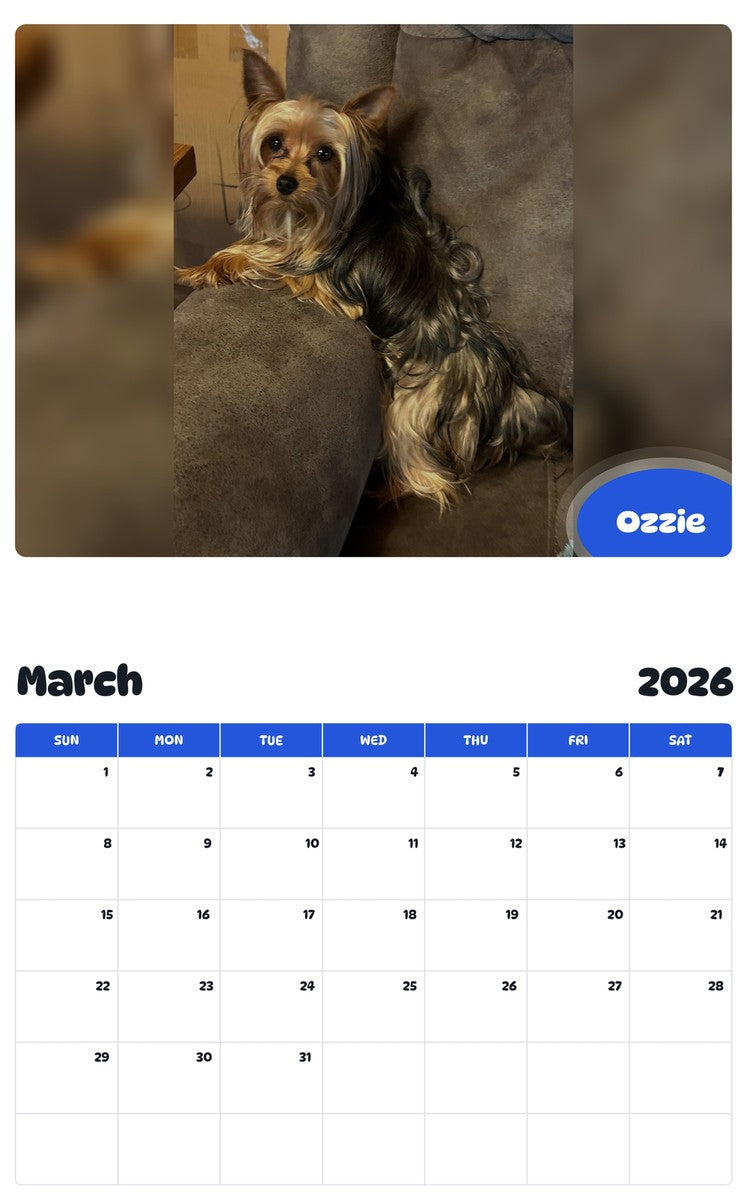 November 2025 - October 2026 Ozzie - Pawidols Pet Calendar