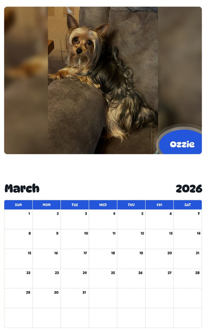 November 2025 - October 2026 Ozzie - Pawidols Pet Calendar