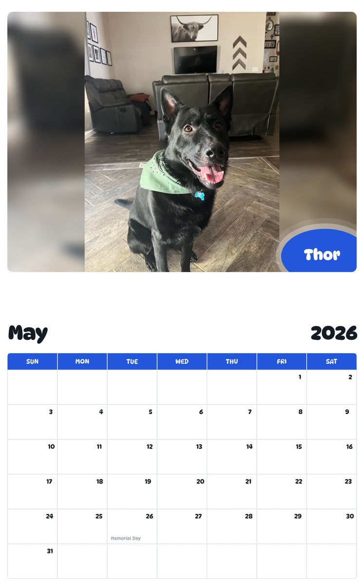 2026 - 2027 Thor - Pawidols Pet Calendar