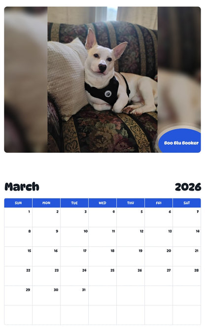 November 2025 - October 2026 Boo Blu Booker - Pawidols Pet Calendar