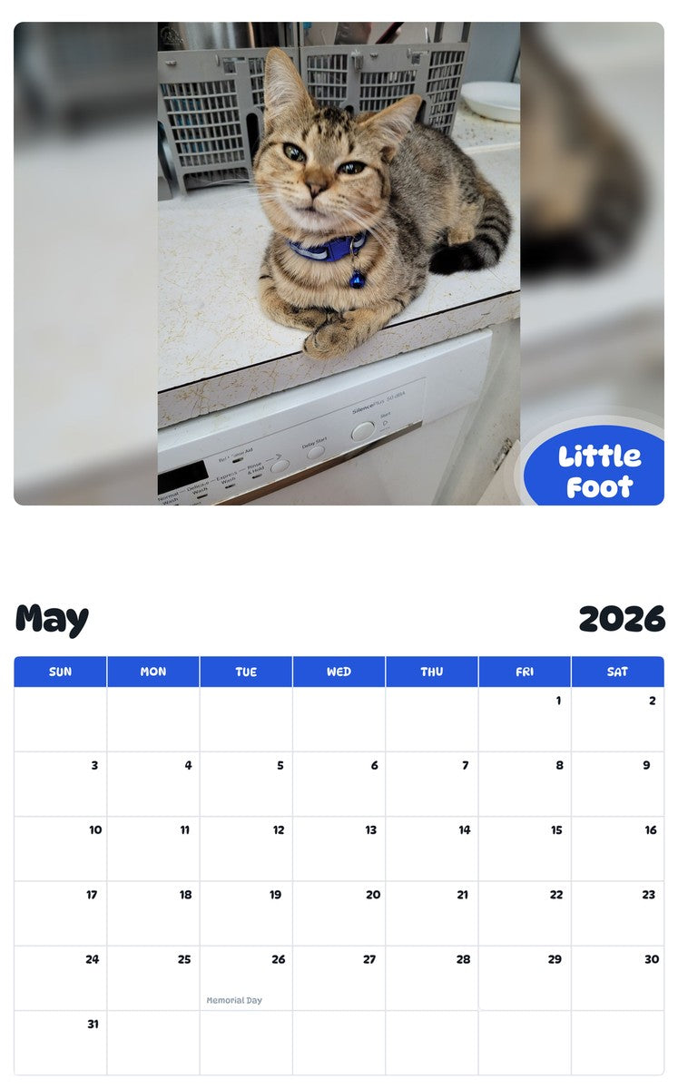 2026 - 2027 Little Foot - Pawidols Pet Calendar