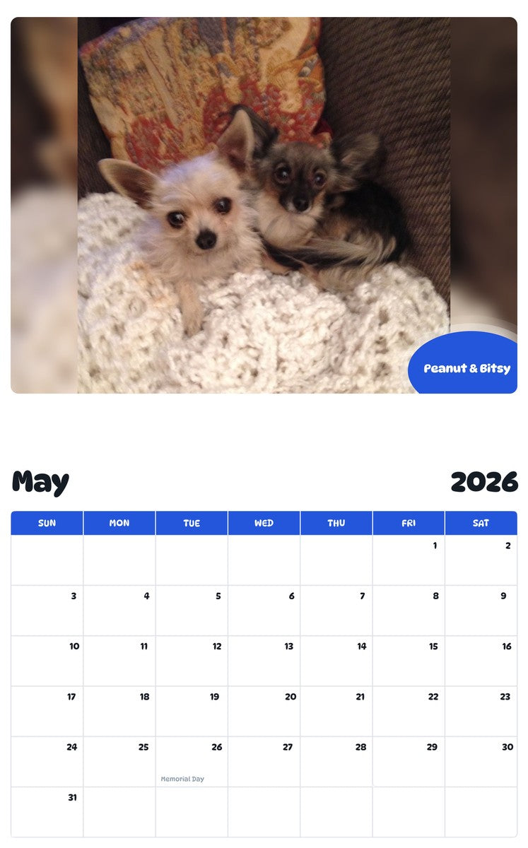 2026 - 2027 Peanut & Bitsy - Pawidols Pet Calendar