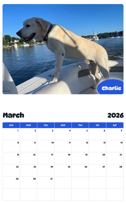 November 2025 - October 2026 Charlie - Pawidols Pet Calendar