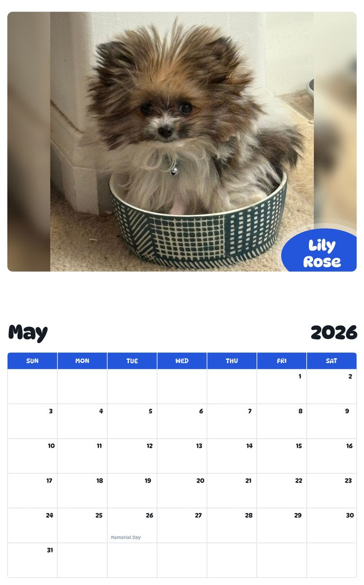 2026 - 2027 Lily Rose - Pawidols Pet Calendar