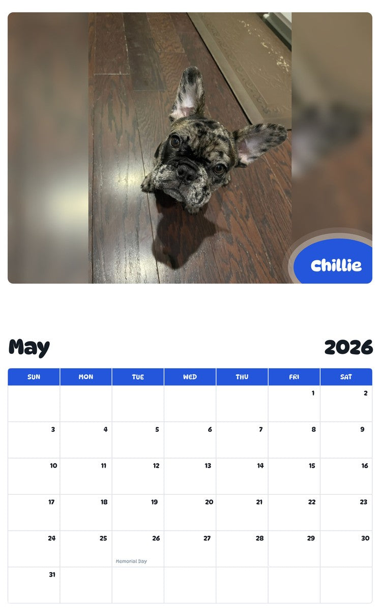 2026 - 2027 Chillie - Pawidols Pet Calendar
