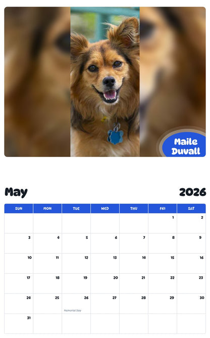 2026 - 2027 Maile Duvall - Pawidols Pet Calendar