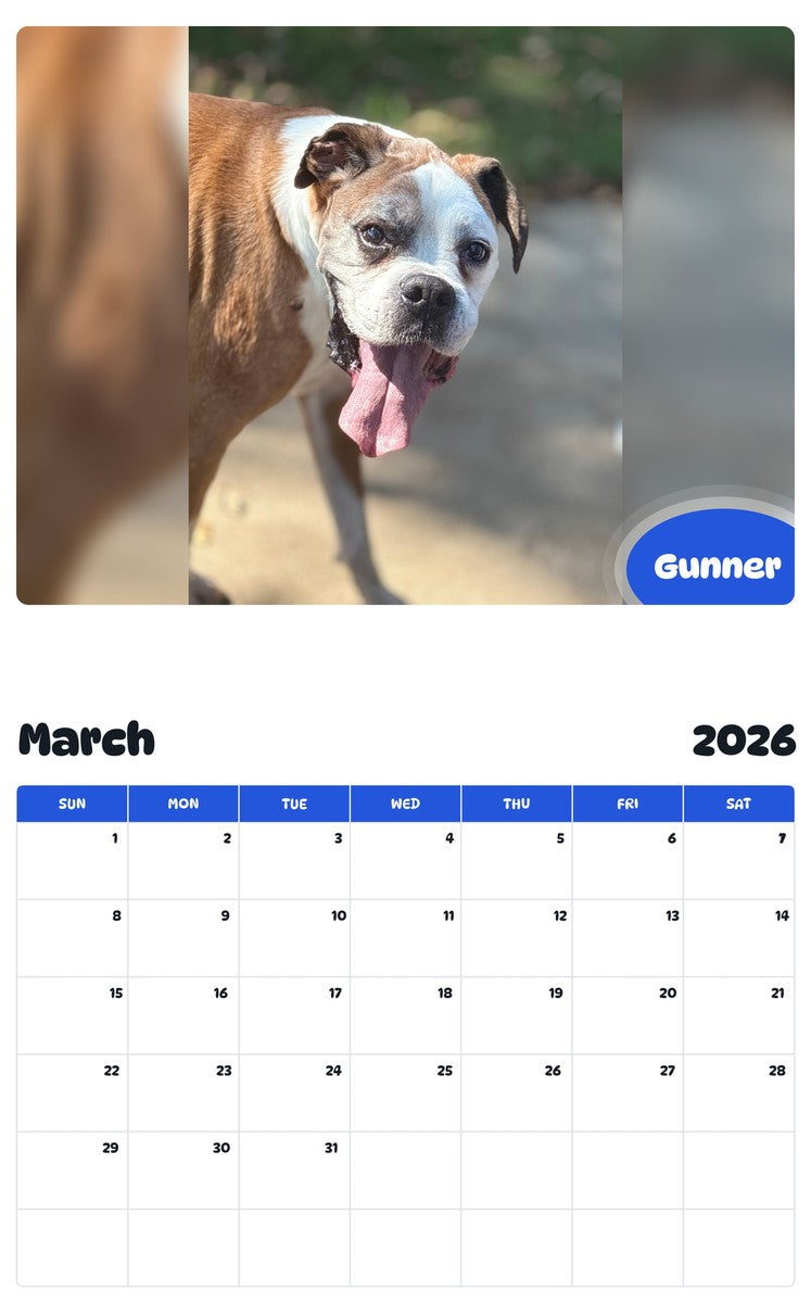 November 2025 - October 2026 Gunner - Pawidols Pet Calendar