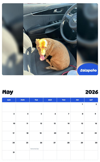 2026 - 2027 Jalapeño - Pawidols Pet Calendar