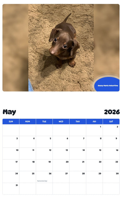 2026 - 2027 Sassy Marie Valentine - Pawidols Pet Calendar
