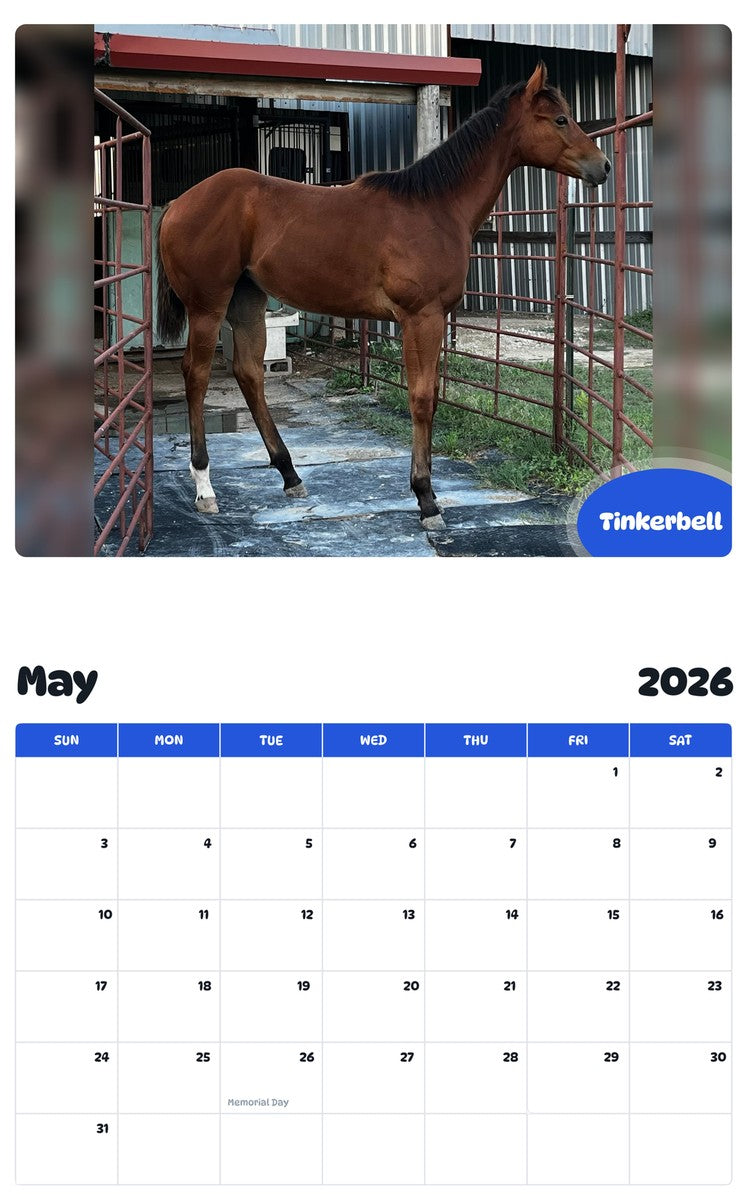 2026 - 2027 Tinkerbell - Pawidols Pet Calendar