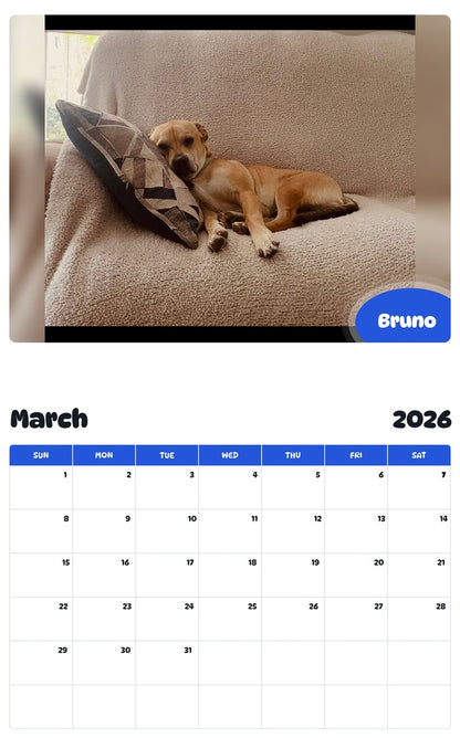 November 2025 - October 2026 Bruno - Pawidols Pet Calendar