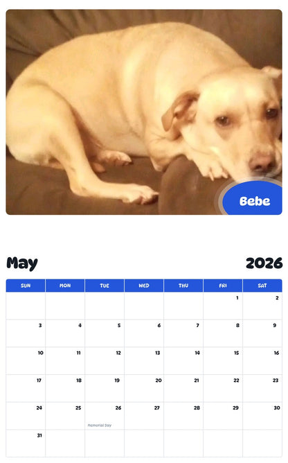 2026 - 2027 Bebe - Pawidols Pet Calendar