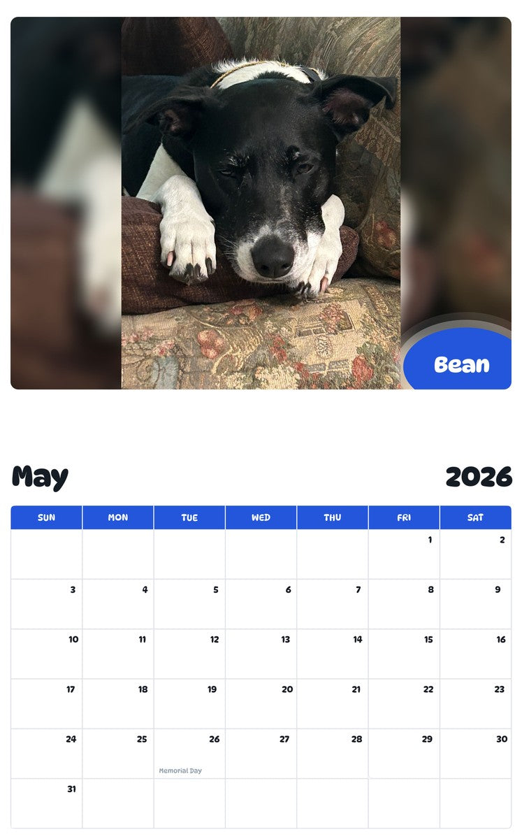 2026 - 2027 Bean - Pawidols Pet Calendar