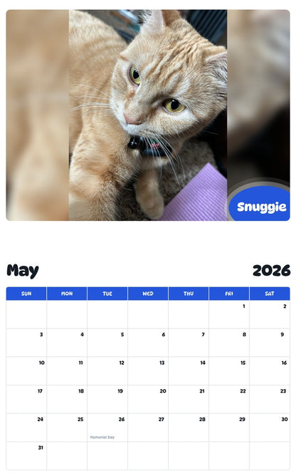 2026 - 2027 Snuggie - Pawidols Pet Calendar