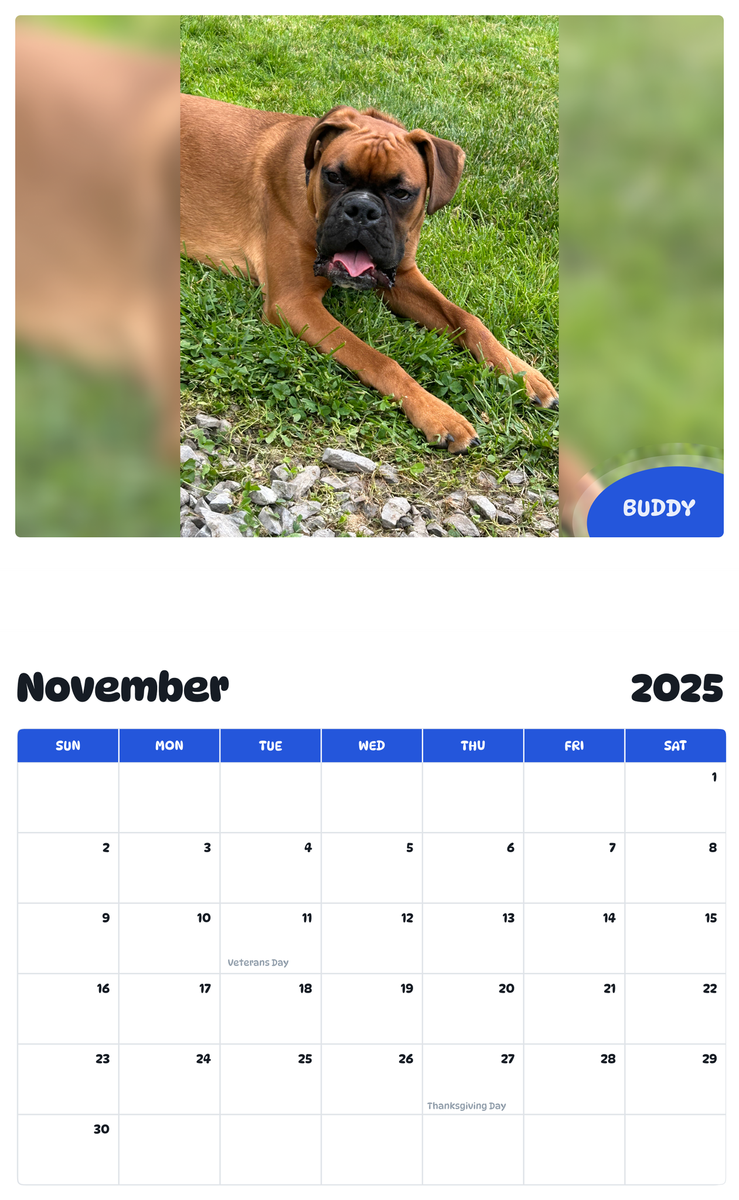 July 2025 - June 2026 Buddy - Pawidols Pet Calendar
