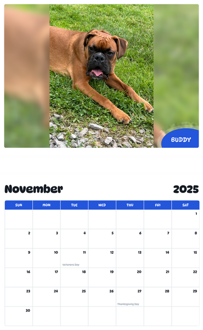 July 2025 - June 2026 Buddy - Pawidols Pet Calendar