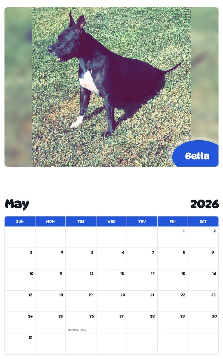2026 - 2027 Bella - Pawidols Pet Calendar