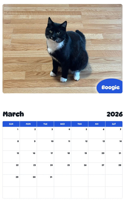 November 2025 - October 2026 Boogie - Pawidols Pet Calendar