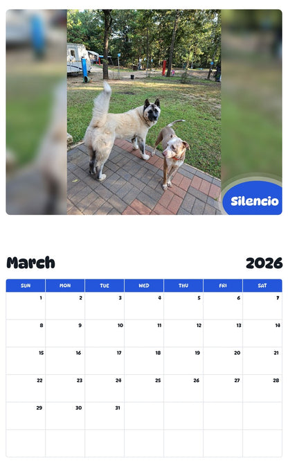 November 2025 - October 2026 Silencio - Pawidols Pet Calendar