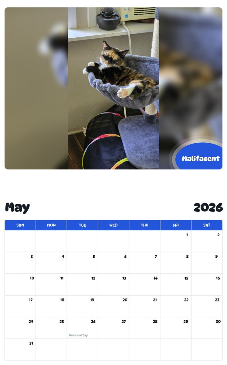 2026 - 2027 Malifacent - Pawidols Pet Calendar
