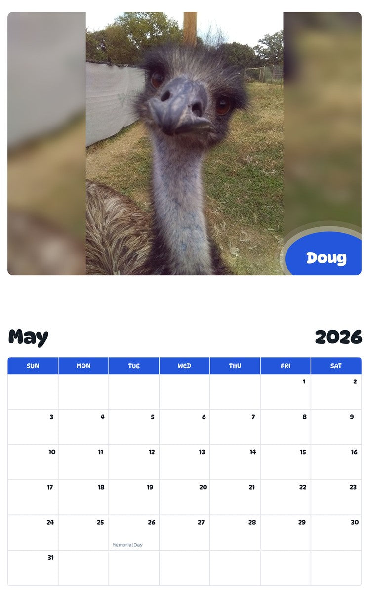 2026 - 2027 Doug - Pawidols Pet Calendar