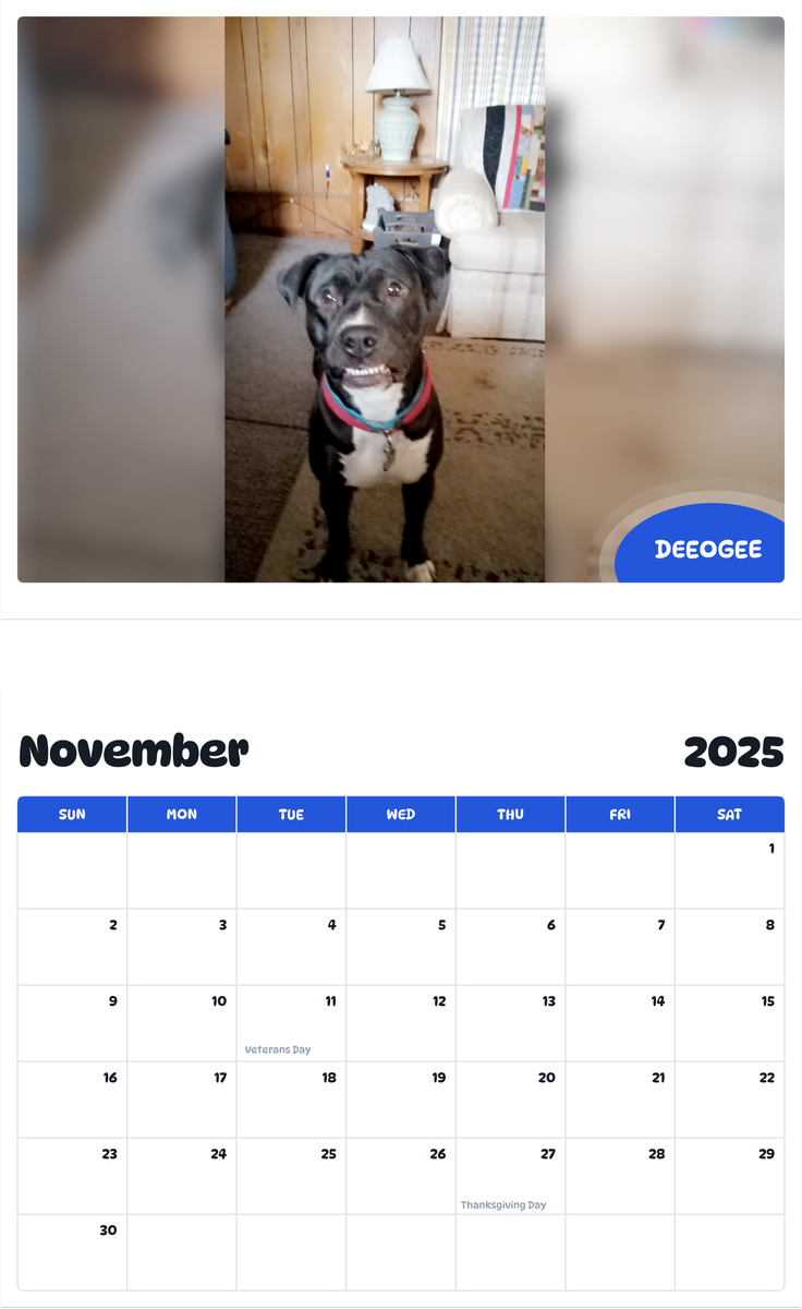 July 2025 - June 2026 Deeogee - Pawidols Pet Calendar