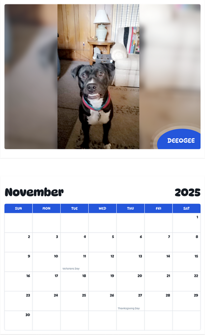 July 2025 - June 2026 Deeogee - Pawidols Pet Calendar
