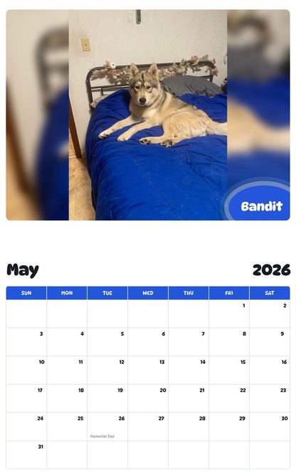 2026 - 2027 Bandit - Pawidols Pet Calendar