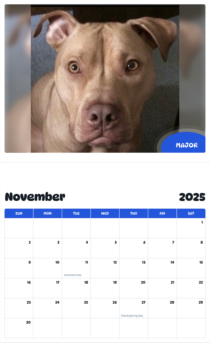 July 2025 - June 2026 Major - Pawidols Pet Calendar