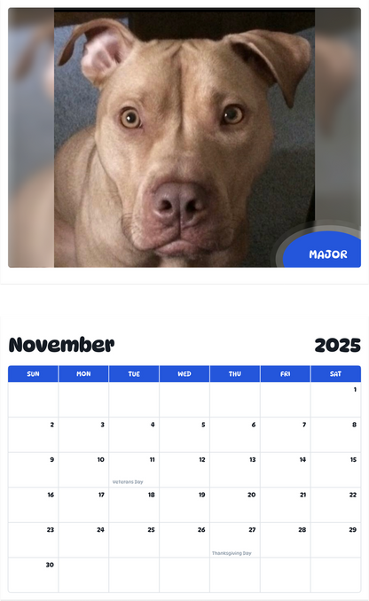 July 2025 - June 2026 Major - Pawidols Pet Calendar
