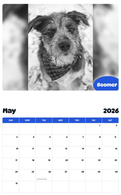 2026 - 2027 Boomer - Pawidols Pet Calendar