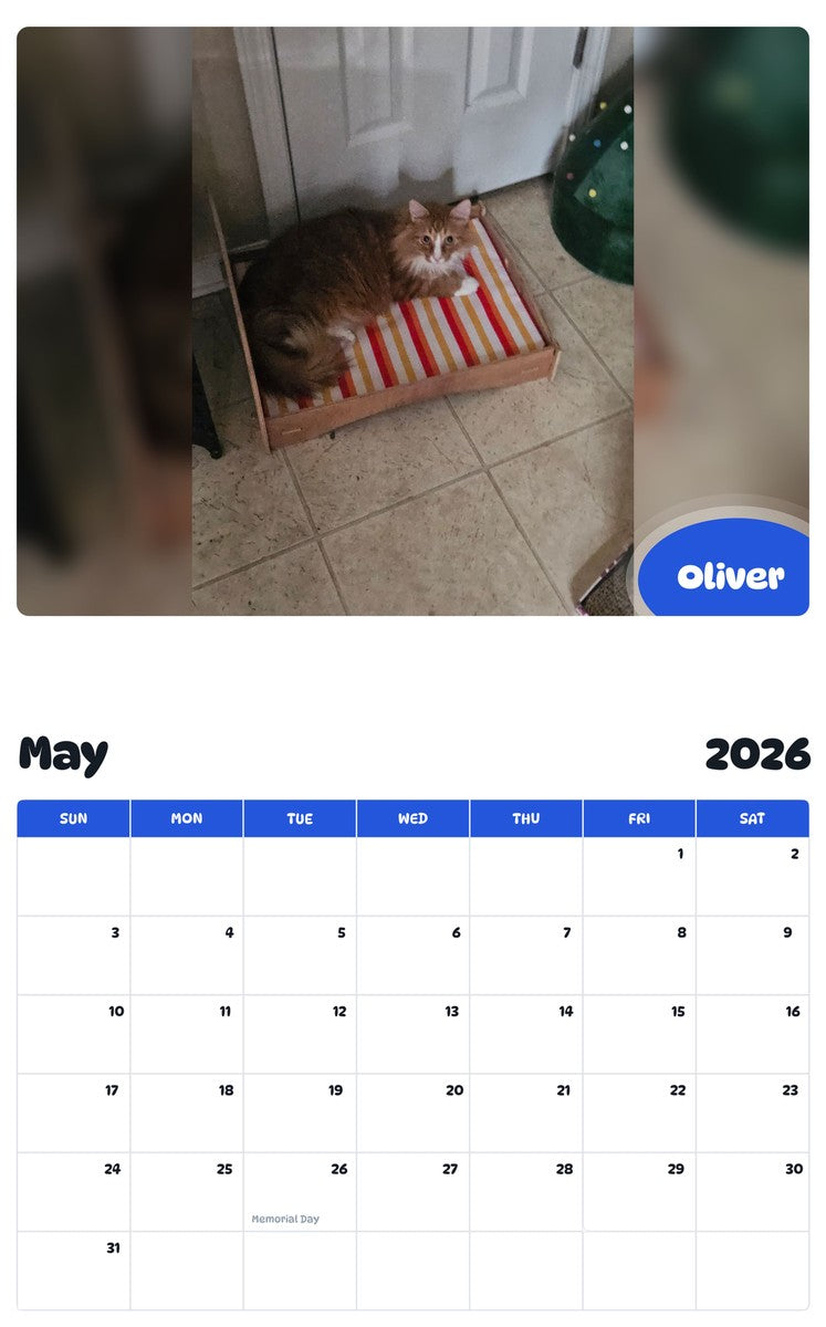 2026 - 2027 Oliver - Pawidols Pet Calendar