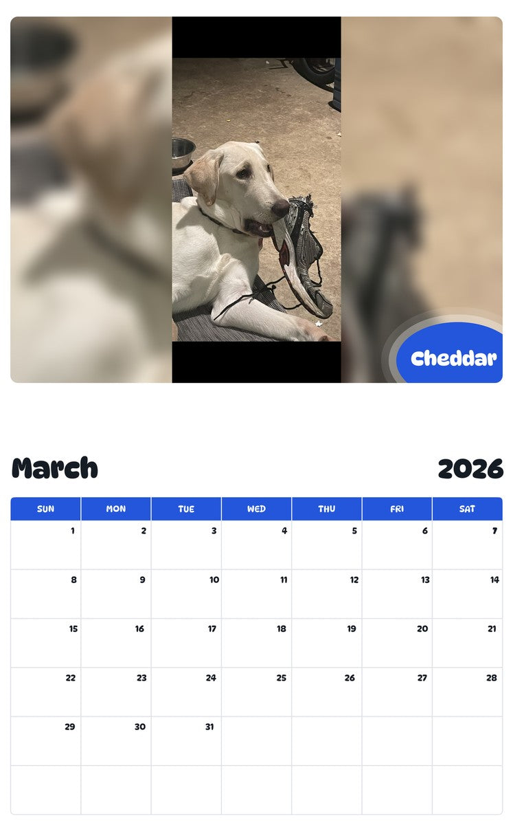 November 2025 - October 2026 Cheddar - Pawidols Pet Calendar