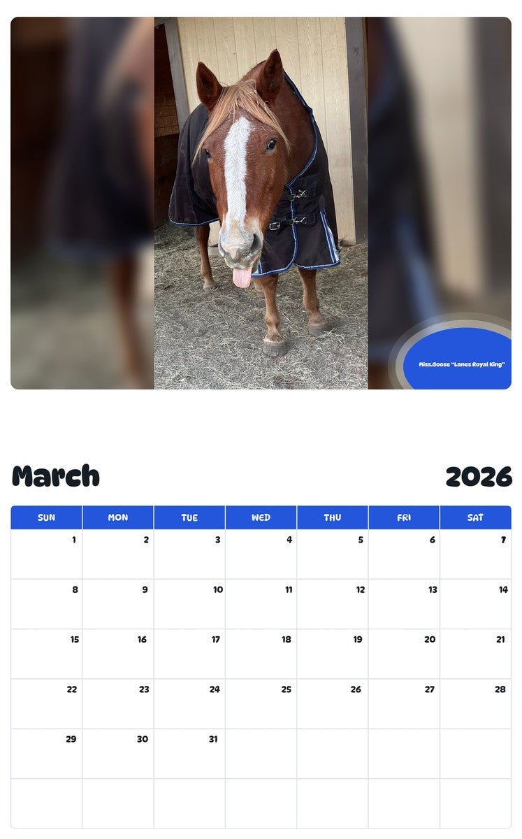 November 2025 - October 2026 Miss.Goose “Lanes Royal King” - Pawidols Pet Calendar